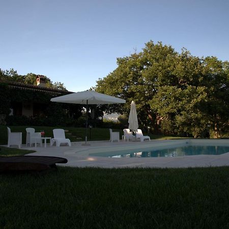 The Forest House Isernia Exterior photo
